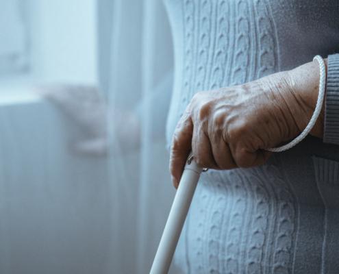 monza badante convivente cecità aes domicilio