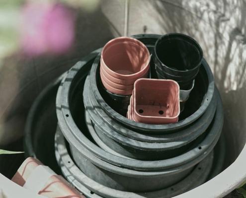 cose fare attivita badante anziano aes domicilio monza