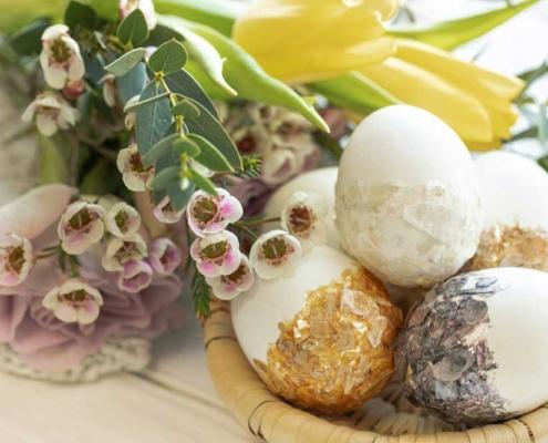 badante a pasqua monza